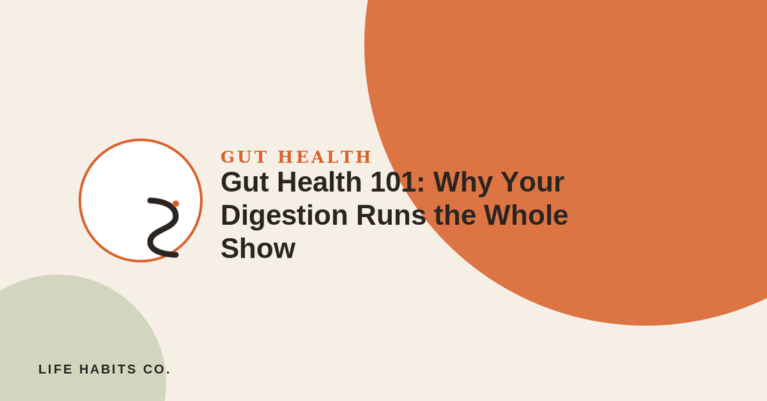 Gut Health 101 - Life Habits Co blog banner