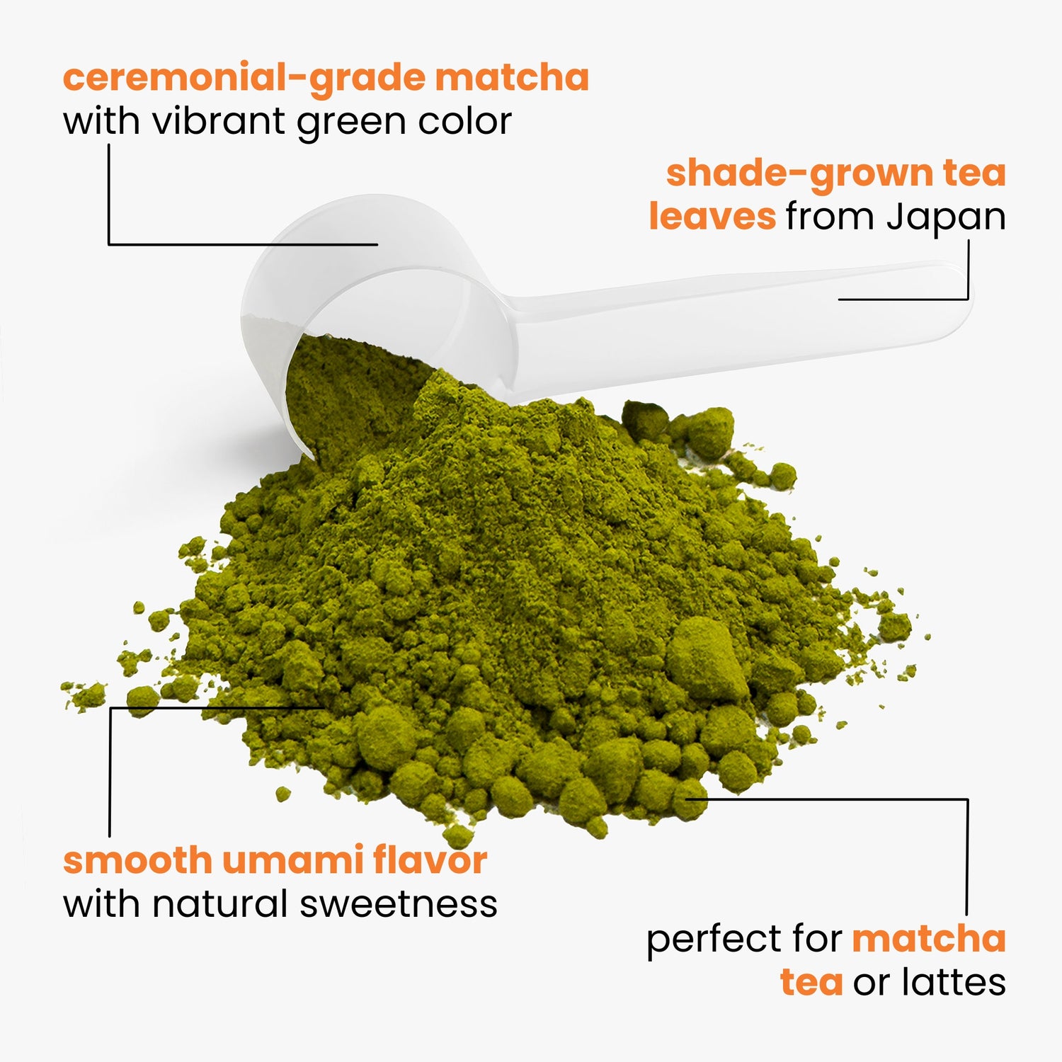 Ceremonial Matcha Powder